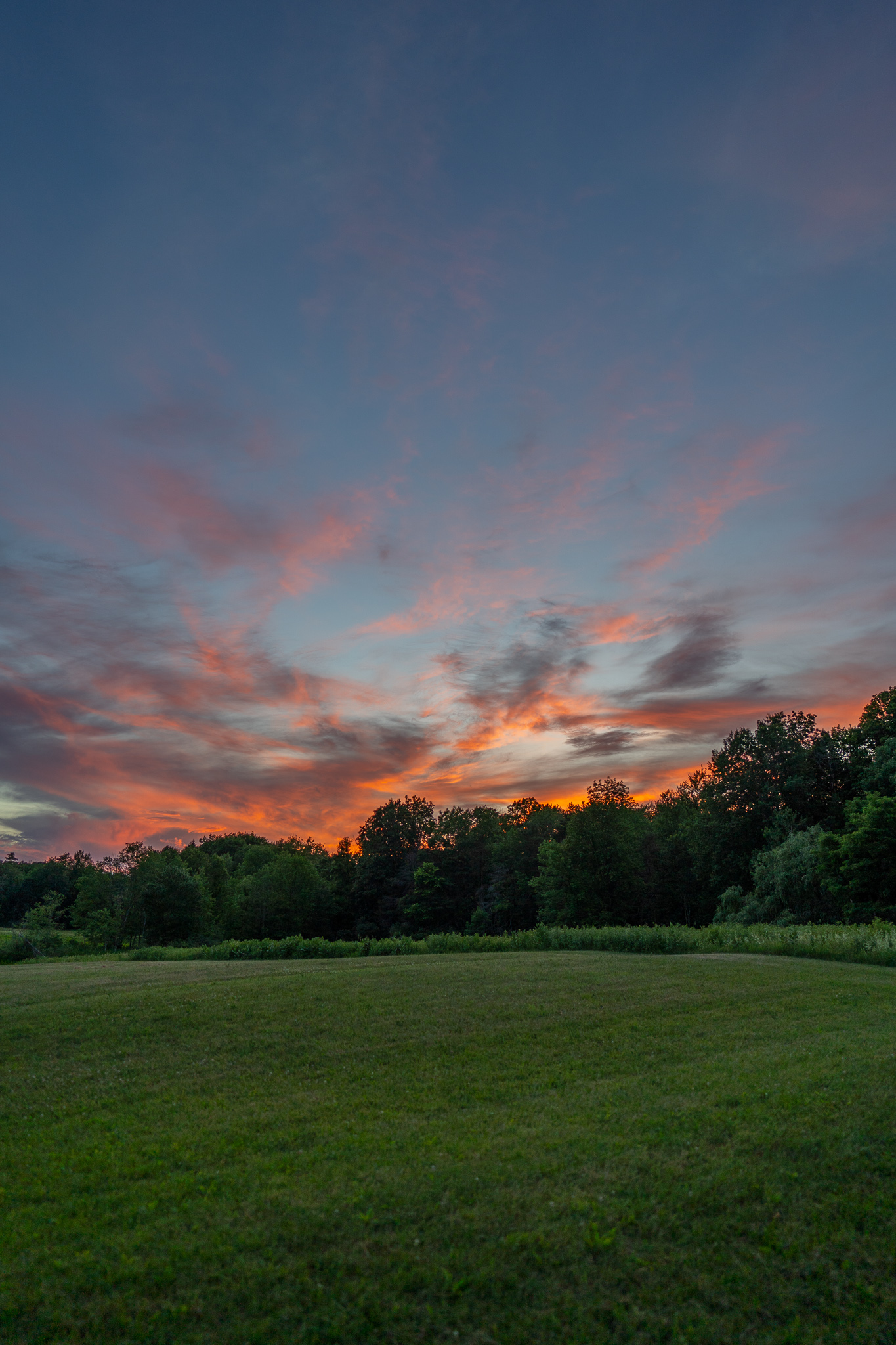 sunset on a grassy field